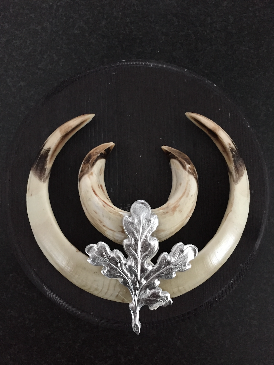 Decorative wild boar tusks with crescent and leaf design on a black background